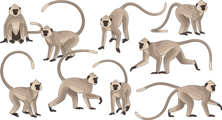 Stylized monkey illustration collection with eight poses, sitting walking crouching looking around, long curved tails, brown toned shading, animal anatomy artwork © Mst