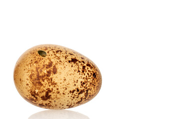 Fototapeta premium Quail eggs isolated on white background, close-up.