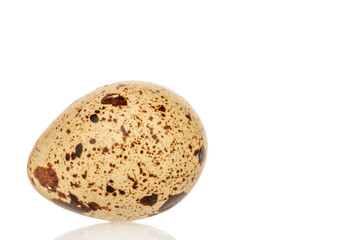 Fototapeta premium Quail eggs isolated on white background, close-up.