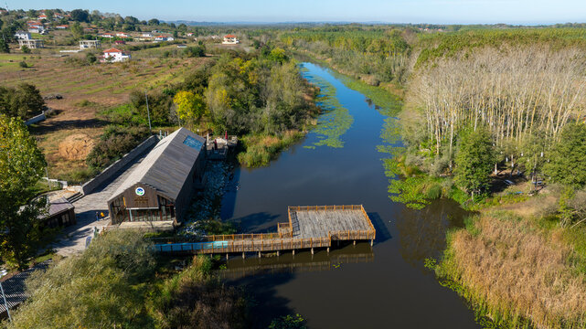 Acarlar floodplain forest is located in Sakarya province.It has endemic flora and fauna.