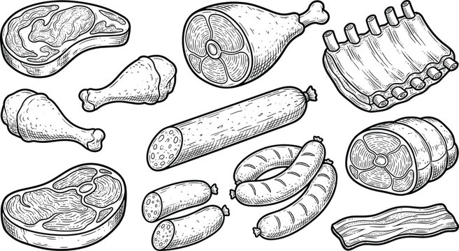 Hand drawn meat cuts vector illustration set featuring steak chicken drumstick sausage bacon ribs vintage engraved style butcher food collection
