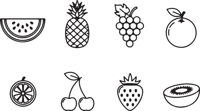 Hand drawn watermelon seeds detail vector in line art style isolated on white background