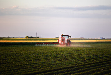 Fototapeta premium Agricultural machinery sprays crops with pesticide.