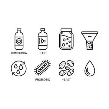 Line art icons representing kombucha kefir probiotics and fermentation processes