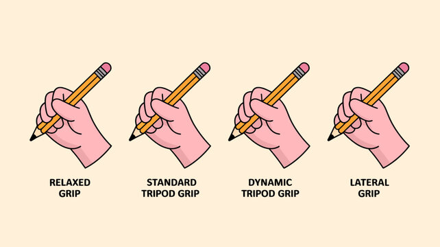 This illustration demonstrates four distinct hand grips for holding a pencil labeled as relaxed standard dynamic and lateral high quality professional detailed modern elegant stylish clean