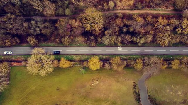 This aerial photograph captures a quiet, tree-lined road bordered by fields and deciduous trees. 