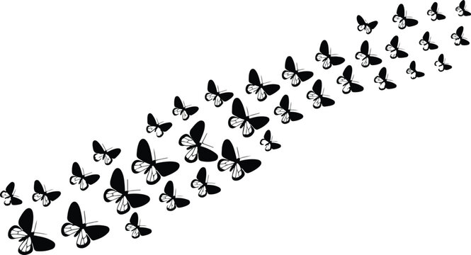 Minimal butterfly silhouette composition in curved diagonal layout with detailed wings clean black and white vector illustration