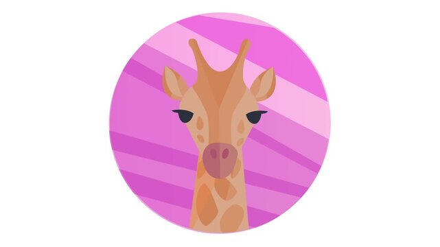 Cute giraffe head cartoon illustration in pink circle badge animation