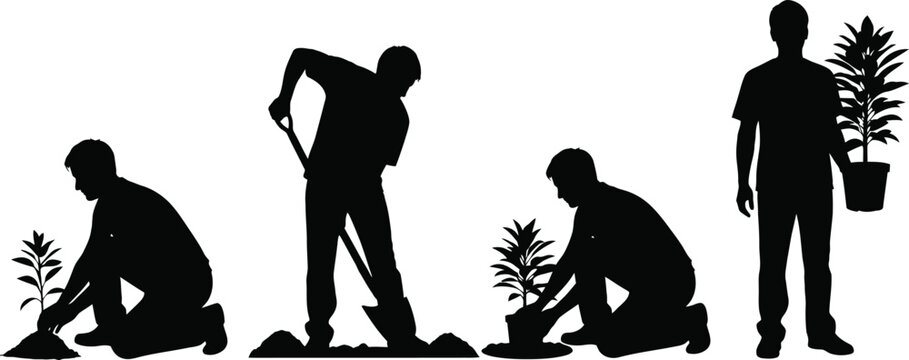 Planting tree silhouette a person planting a sapling in various stages