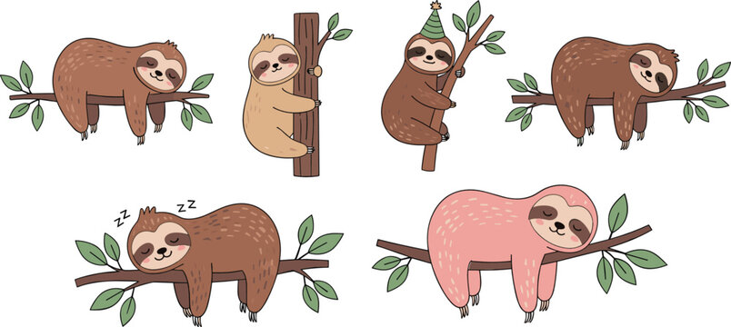 Cute sloths collection with sleeping climbing and hanging poses on tree branches in flat cartoon vector wildlife illustration set