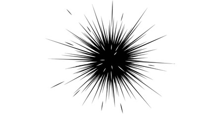 Obraz premium Abstract Black Radial Lines Burst or Explosion Element on Isolated White Background