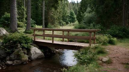 Fototapeta premium A rustic wooden bridge crosses a clear stream in a lush green forest