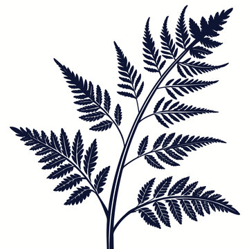 epazote leaf silhouette on white background