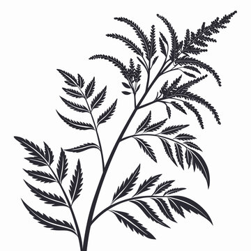 epazote leaf silhouette on white background