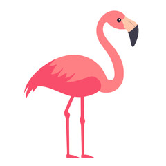 Obraz premium Pink Flamingo Illustration Isolated - Tropical Bird Standing Pose, Exotic Wildlife, Decorative Vector, Minimalist Design, Children's Illustration, Summer Vibes, Simple and Elegant Style