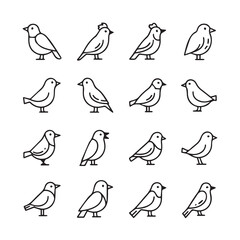 Obraz premium Collection of Minimalist Bird Icons Various Poses Simple Line Art Style Isolated on White