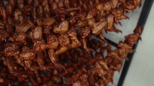 Close-up view of multiple racks filled with golden-brown grilled chicken wings hanging in a food preparation area, showcasing the drying process in a commercial kitchen