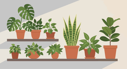 Fototapeta premium A cozy flat design scene illustrating various indoor potted plants arranged on shelves, creating a modern urban jungle aesthetic. This clean vector illustration captures the essence of indoor gardenin