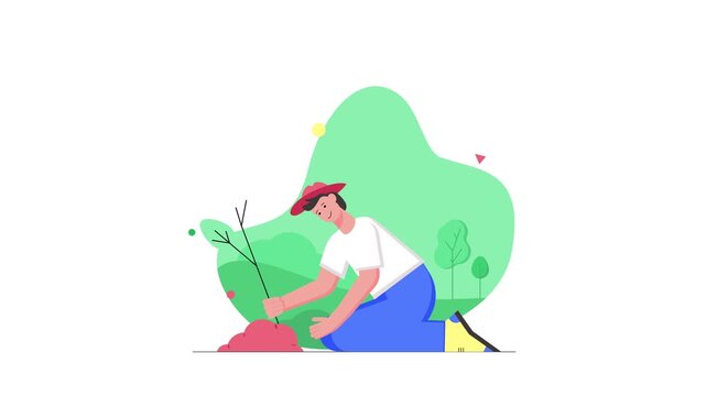 Flat vector animation of gardener planting sapling in spring garden