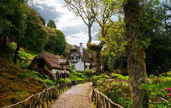 Charming traditional architecture nestled in the verdant hills of Madeira levada PR9 Levada do Caldeirao Verde, featuring a stone path lined with trees and vibrant vegetation