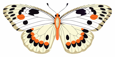 A vibrant illustration of a white butterfly with orange and black markings © Piku