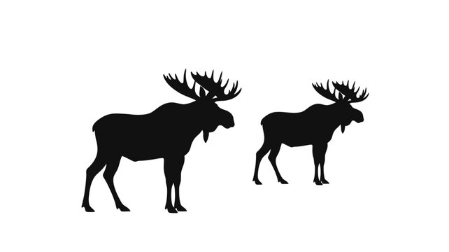 Two majestic moose stand side by side in stark contrast silhouette