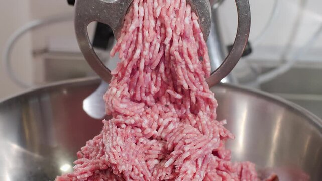 Minced pieces of meat slowly comes out of grinder and falls into large plate. Electric device processes ingredients and forms final parts for further convenience food production