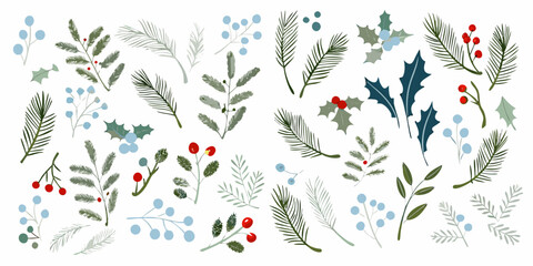 Festive botanical illustrations of winter foliage and berries on white © Rakesh