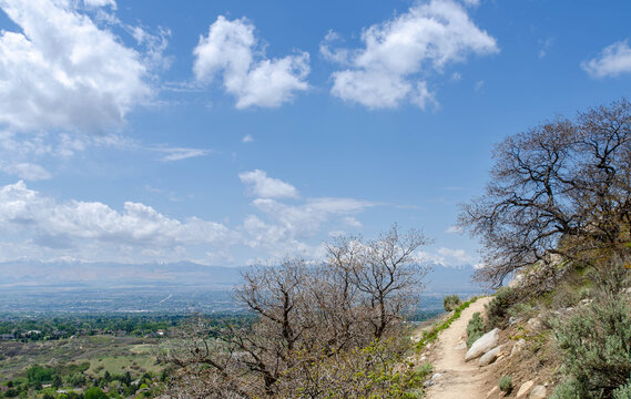 Hiking Trail Overlooking Utah Valley Cityscape