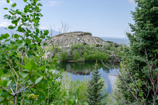 View of Mountain Lake Through Green Trees
