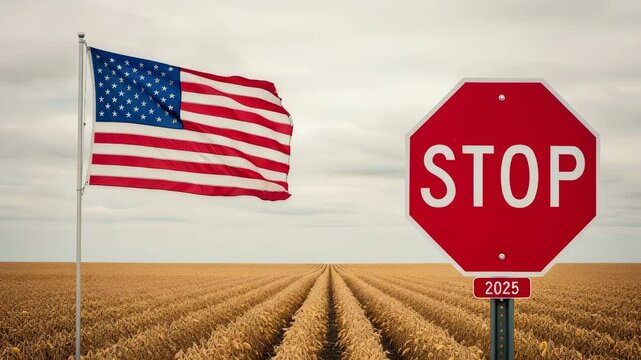 American flag waving near stop sign in golden field. Concept of national economic crisis, inflation and poverty outlook for year 2025 during financial downturn.