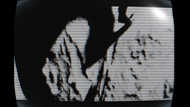 4K Cinematic Evolution: From Australopithecus to Homo Habilis and Homo Erectus - Early Hominid Ancestors in African Savanna