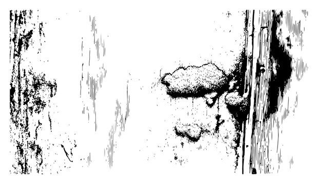 Distressed grunge wall texture with mold and cracked details