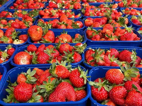 strawberries in a box