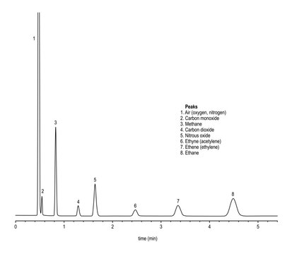 Chromatogram of permanent gases and nitrous oxide