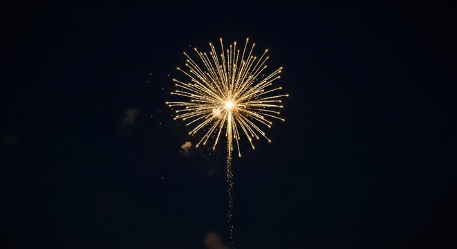Single firework explosion against the night sky celebration concept