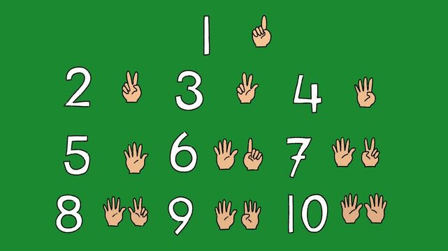 Hand-Drawn Numbers and Counting Fingers 2D Animation | Cartoon Human Hand Gestures One to Ten video | Playful Numbering Hand-Drawn Animation on Green Screen