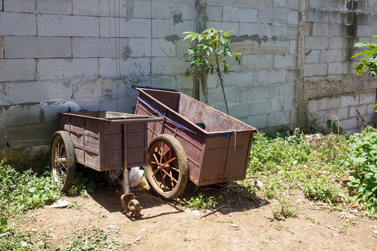 Two rusty-brown old iron carts were parked in front of a cinder-block wall. Around them were grass and climbing trees, creating an abandoned atmosphere.