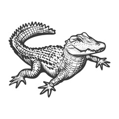Naklejka premium A detailed hand drawn illustration of a crawling reptile animal