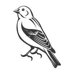 Fototapeta premium A simple detailed illustration of a small bird against white background