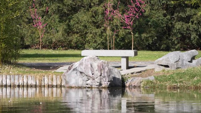 Quiet park bench beside calm lake. Pink blossoms bloom near green trees. Rocks reflect in still water surface. Serene setting invites quiet contemplation