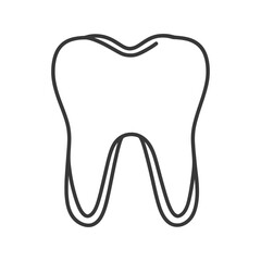 Obraz premium A black and white outline illustration of a human molar tooth