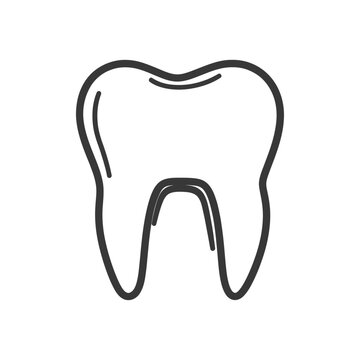 A simple outlined illustration depicting a human tooth in isolation
