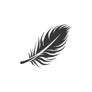 A single dark colored feather rests against a white background