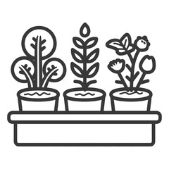 Fototapeta premium Three Potted Plants Sit Neatly on a Rectangular Garden Tray