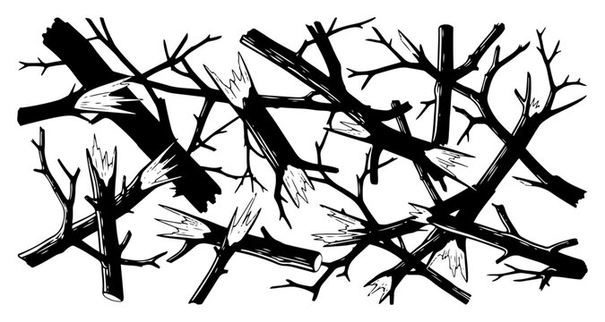 Graphic illustration of various broken wooden branches and splintered logs on white background