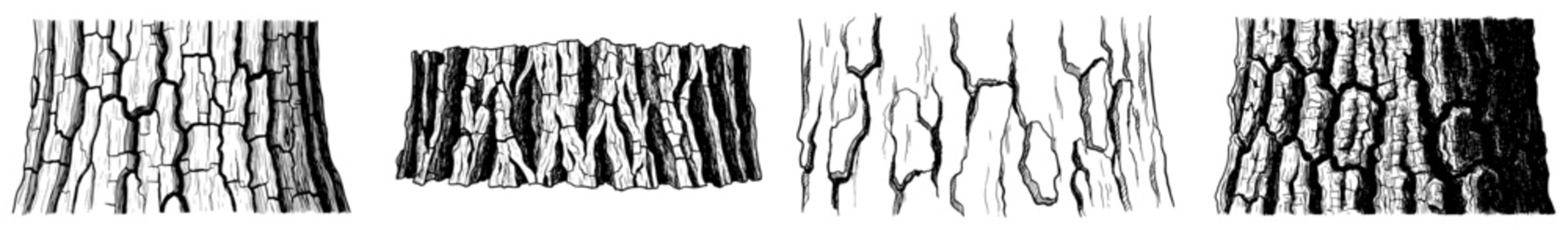 Collection of detailed tree bark textures and stump sketches in vintage woodcut engraving style