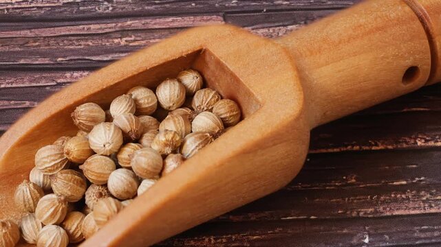 spices on wooden spoon