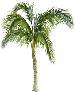Folhagem tropical com detalhes de folhas e galhos em alta resolu&ccedil;&atilde;o. Ideal para design moderno, fundos criativos, branding, decora&ccedil;&atilde;o digital e projetos visuais sofisticado.