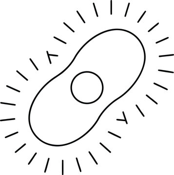 1305 paramecium slipper shaped protozoan with line art vector illustration on transparent background
